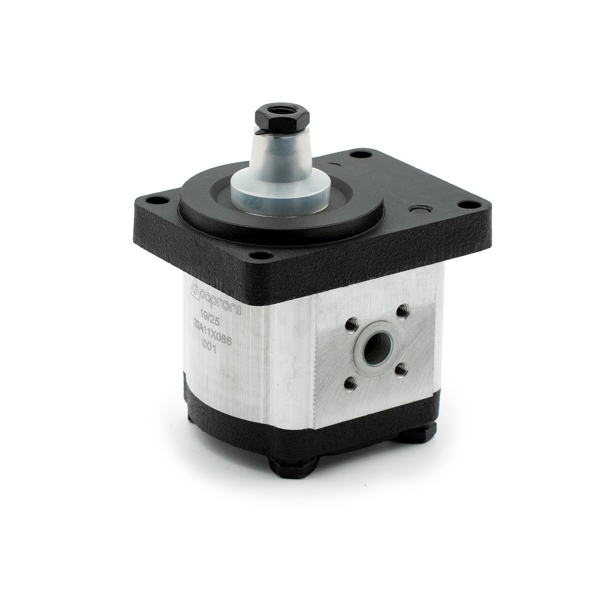 Zahnradpumpe 20A...X086