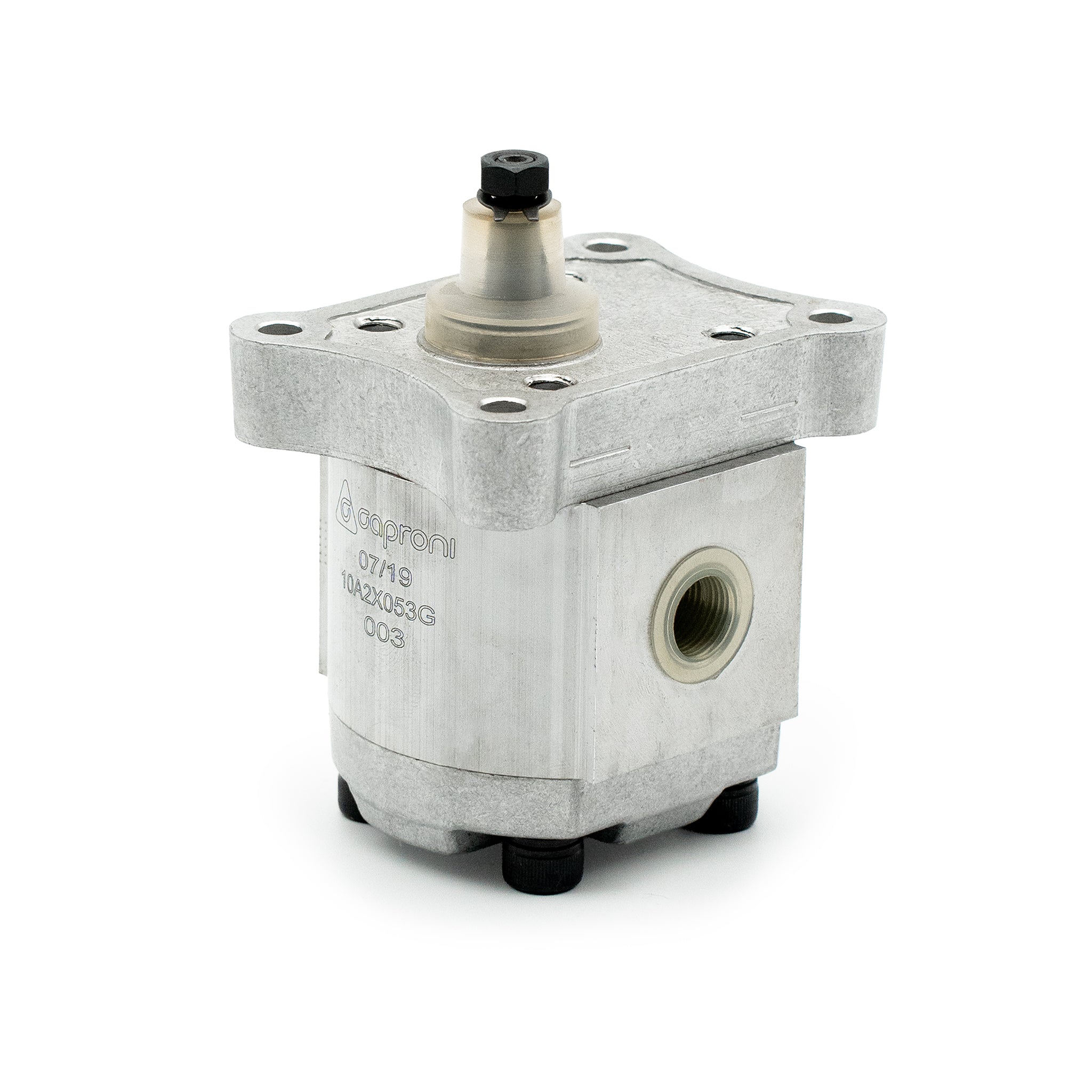 Zahnradpumpe 10C...X056